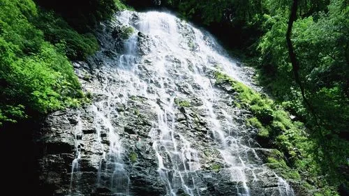 智能系统无人化稳定性
